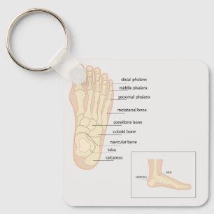 Anatomy of human foot  keychain