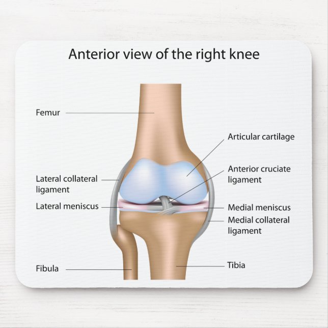 Anatomy of knee joint Mousepad (Front)