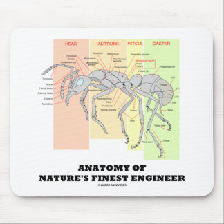 Anatomy Of Nature's Finest Engineer Entomology Mouse Pad