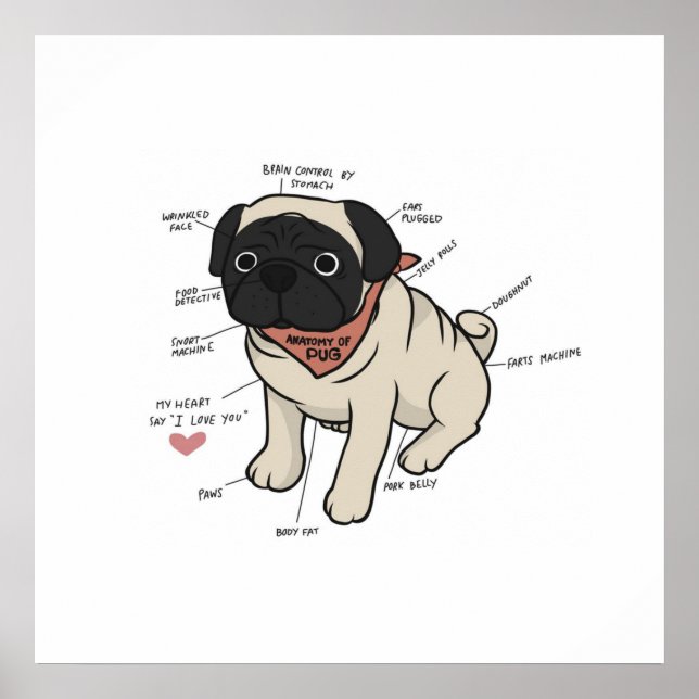 Anatomy Of Pug Dog Chart (Front)