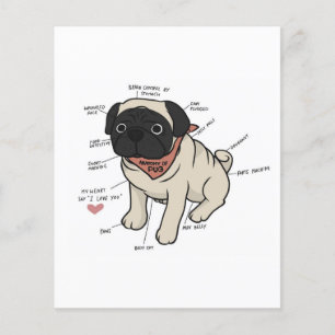 Anatomy Of Pug Dog Chart Flyer