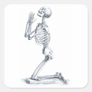 Anatomy of the Bones sticker