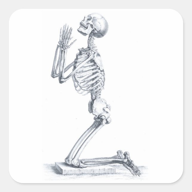 Anatomy of the Bones sticker (Front)