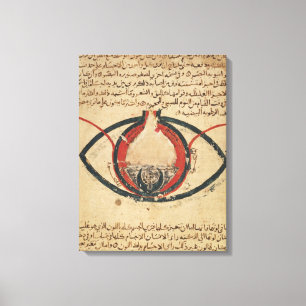 Anatomy of the Eye, from a book on eye diseases Canvas Print