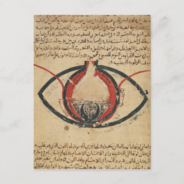 Anatomy of the Eye, from a book on eye diseases Postcard (Front)