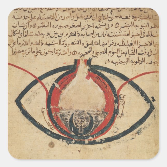 Anatomy of the Eye, from a book on eye diseases Square Sticker (Front)