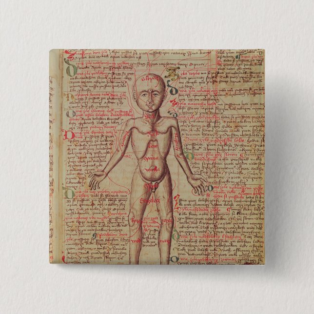 Anatomy of the human body 2 inch square button (Front)