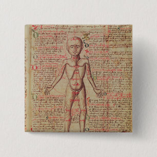 Anatomy of the human body 2 inch square button