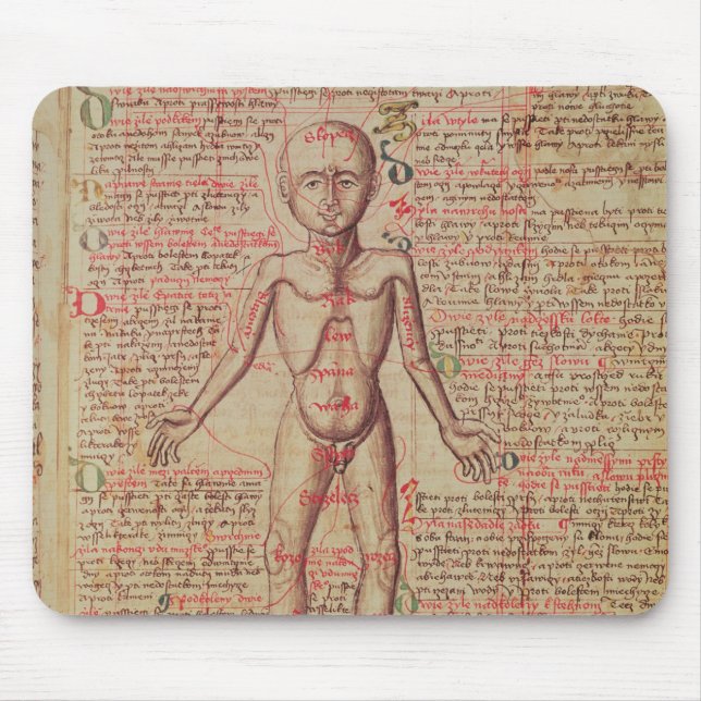 Anatomy of the human body mouse pad (Front)