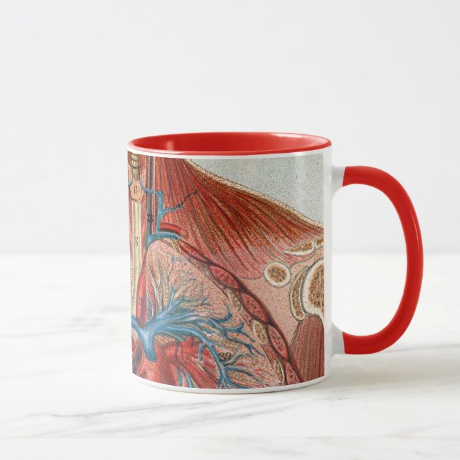 Anatomy of the Human Body Mug (Right)