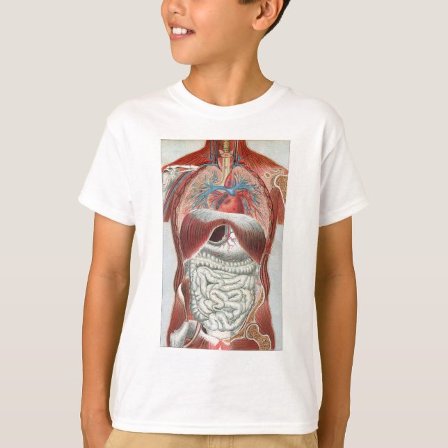 Anatomy of the Human Body T-Shirt (Front)