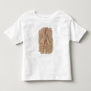 Anatomy of the human body toddler t-shirt
