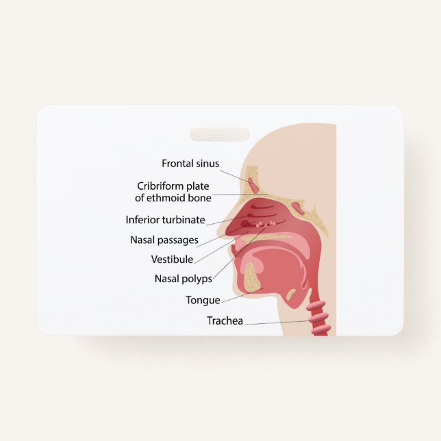 Anatomy of the human nose badge (Front)