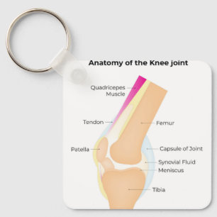 Anatomy of the Knee Keychain