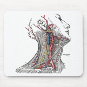 Anatomy of the Neck Mouse Pad
