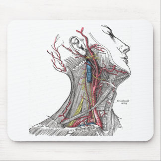 Anatomy of the Neck Mouse Pad