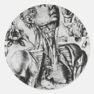 anatomy of  the respiratory system classic round sticker