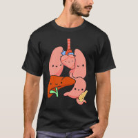 Anatomy Physiology Heart Lungs Vital Organs Illust