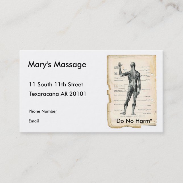 Anatomy Posterior Appointment Card (Front)