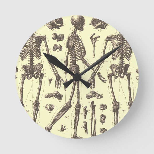 Anatomy Round Clock (Front)