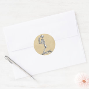 Anatomy Skeleton Illustration Classic Round Sticker