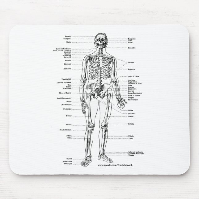 ANATOMY SKELETON T-SHIRTS AND GIFTS MOUSE PAD (Front)