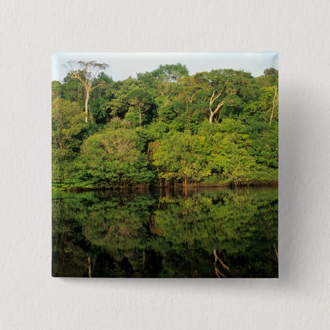 Anavilhanas, Amazonas, Brazil. Rainforest river 2 Inch Square Button (Front)