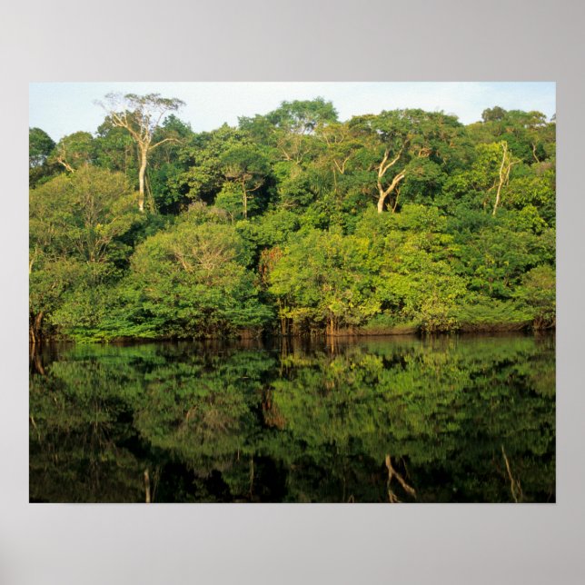 Anavilhanas, Amazonas, Brazil. Rainforest river Poster (Front)