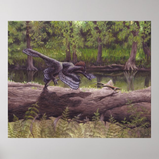 Anchiornis Print (Front)