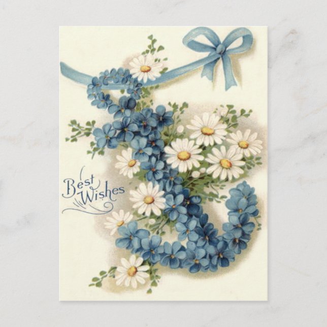 Anchor Forget-Me-Not Daisy Postcard (Front)