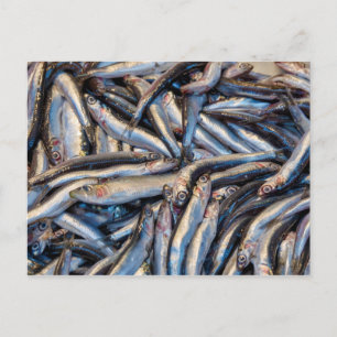 Anchovies Postcard