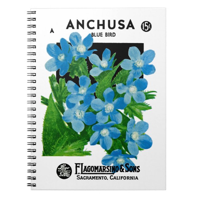 Anchusa Seed Packet Label Notebook (Front)