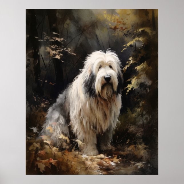 Ancien anglais Sheepdog Chien Art Imprimer Poster (Devant)