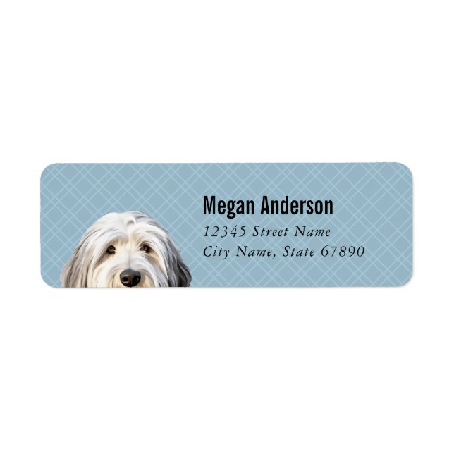 Ancien anglais Sheepdog Retourner l'adresse Étique (Devant)