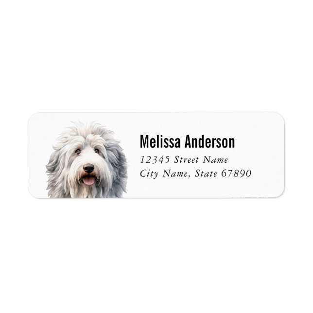 Ancien anglais Sheepdog Retourner l'adresse Étique (Devant)