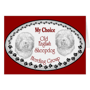 Ancien cadeau de Sheepdog anglais