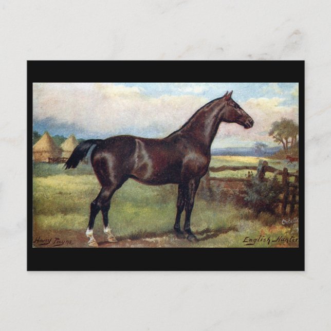 Ancienne carte postale - Anglais Hunter (Devant)