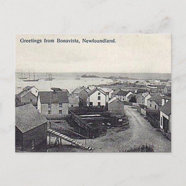 Ancienne carte postale - Bonavista, Terre-Neuve (Devant)