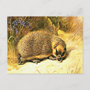Ancienne carte postale - Hérisson
