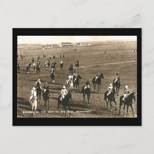 Ancienne carte postale - Hippocampe à Newmarket