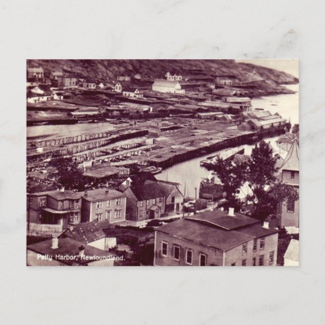 Ancienne carte postale - Petty Harbour, Terre-Neuv (Devant)