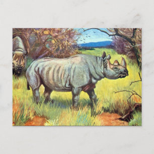 Ancienne carte postale - Rhinoceros
