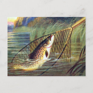 Ancienne carte postale - truite