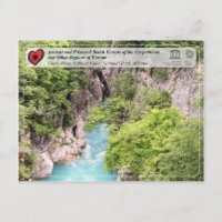 Ancient and Primeval Beech Forests - Gashi River