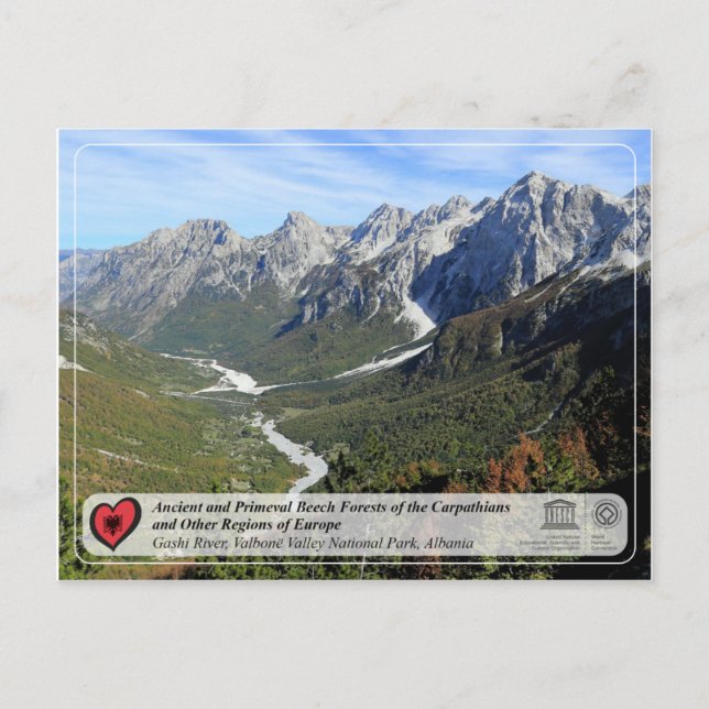 Ancient and Primeval Beech Forests - Gashi River Postcard (Front)