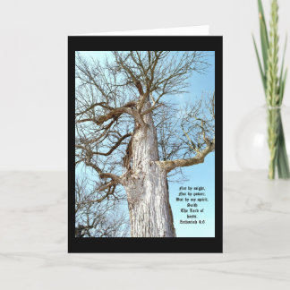 Ancient Ash Zechariah 4:6  Thank You Card