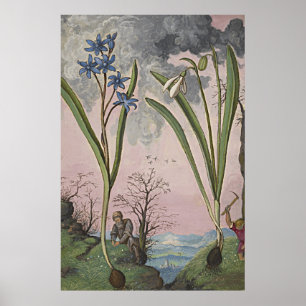 Ancient Botanical Art Snowdrop Poster