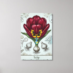 Ancient Botanical Floral Motif Canvas Print