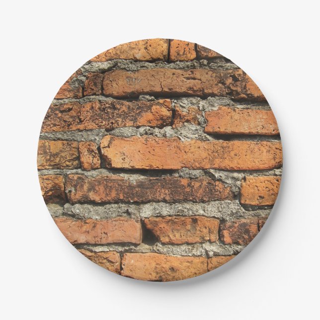 Ancient Brick Wall Paper Plate (Front)