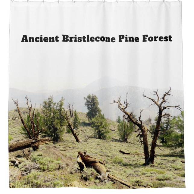 Ancient Bristlecone Pine Forest California (Front)